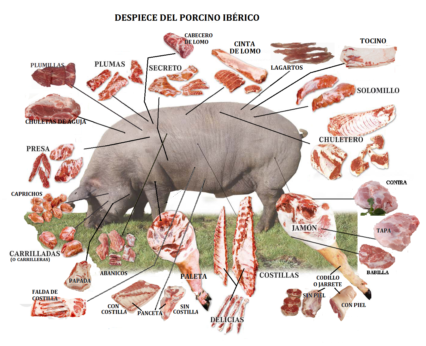 despiece cerdo telechuleton carniceria online
