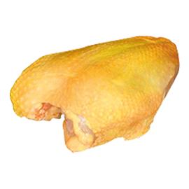 pollo Coren